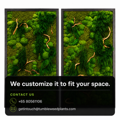 Frame Greens - MOSS.