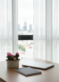 Little Sunrise Succulents