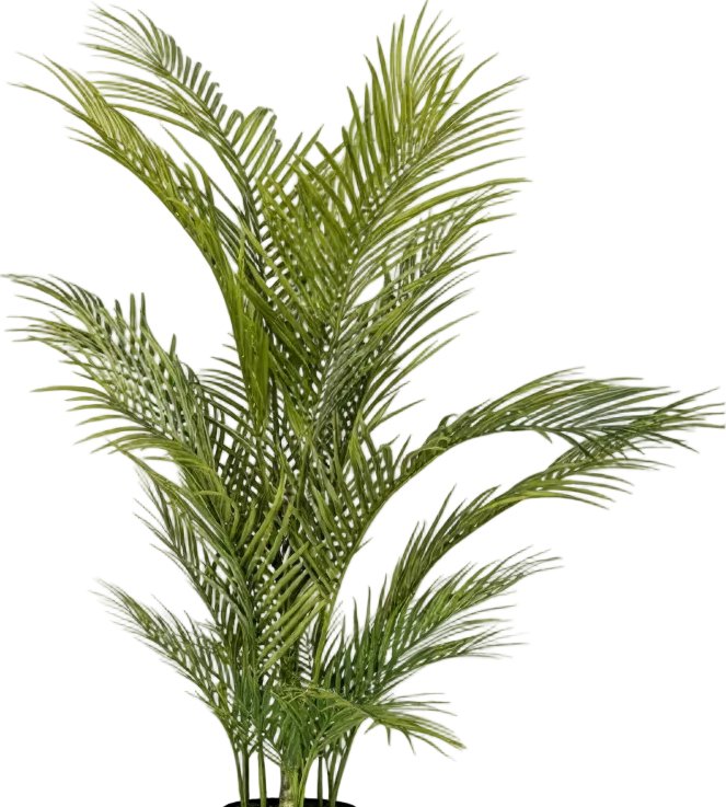 Areca Palm (Life-like Artificial)