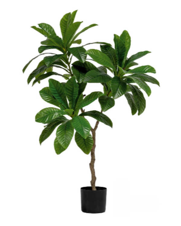 Loquat Tree (Faux)