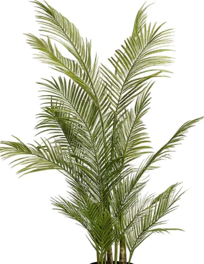 Areca Palm (Life-like Artificial)
