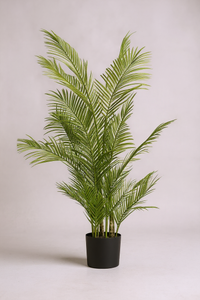 Areca Palm (Life-like Artificial) - Potted plant -  Tumbleweed Plants