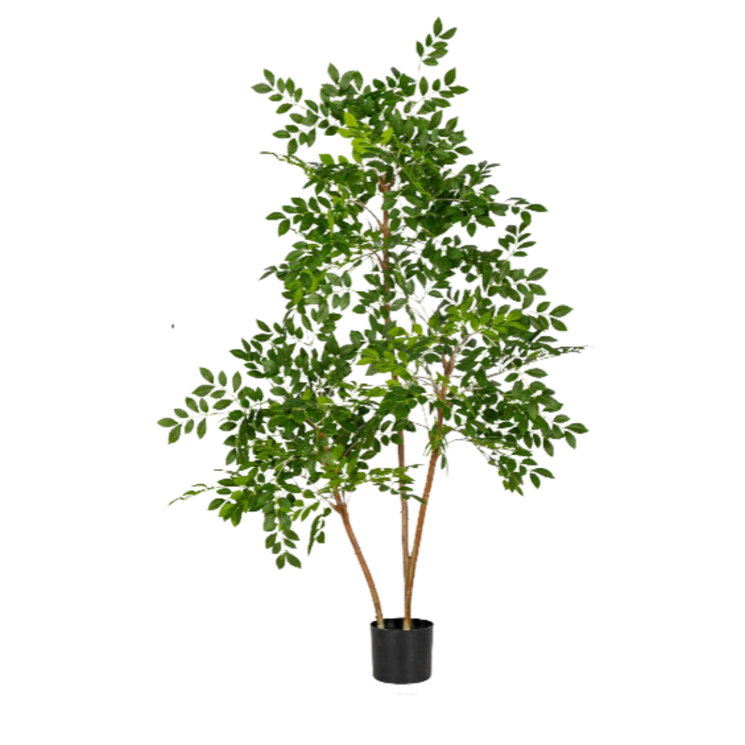 Chinese Money Tree (Faux)