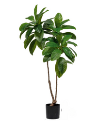 Loquat Tree (Faux)