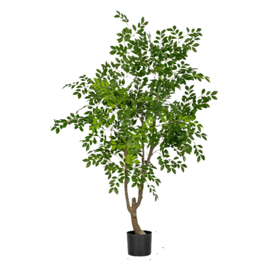 Chinese Money Tree (Faux)