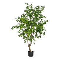 Chinese Money Tree (Faux)