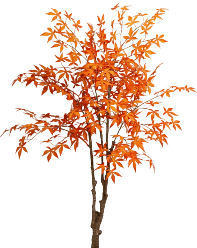 Maple Tree (Life-like Artificial)