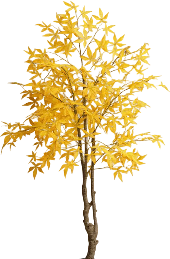 Maple Tree (Life-like Artificial)