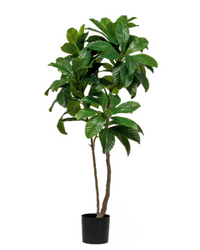 Loquat Tree (Faux)