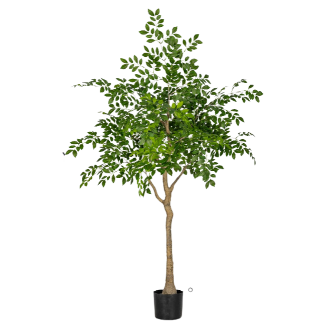 Chinese Money Tree (Faux)