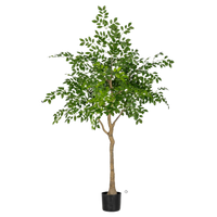 Chinese Money Tree (Faux)