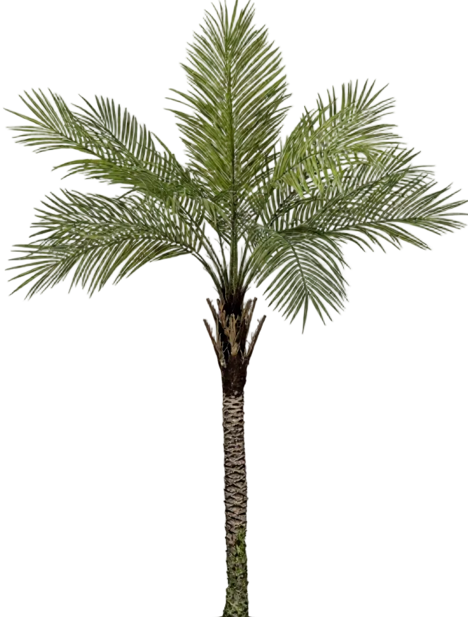 Areca Palm (Life-like Artificial)