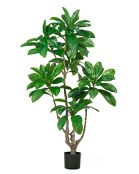 Loquat Tree (Faux)