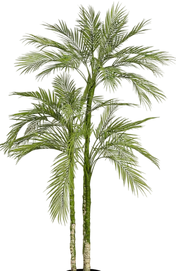 Areca Palm (Life-like Artificial)