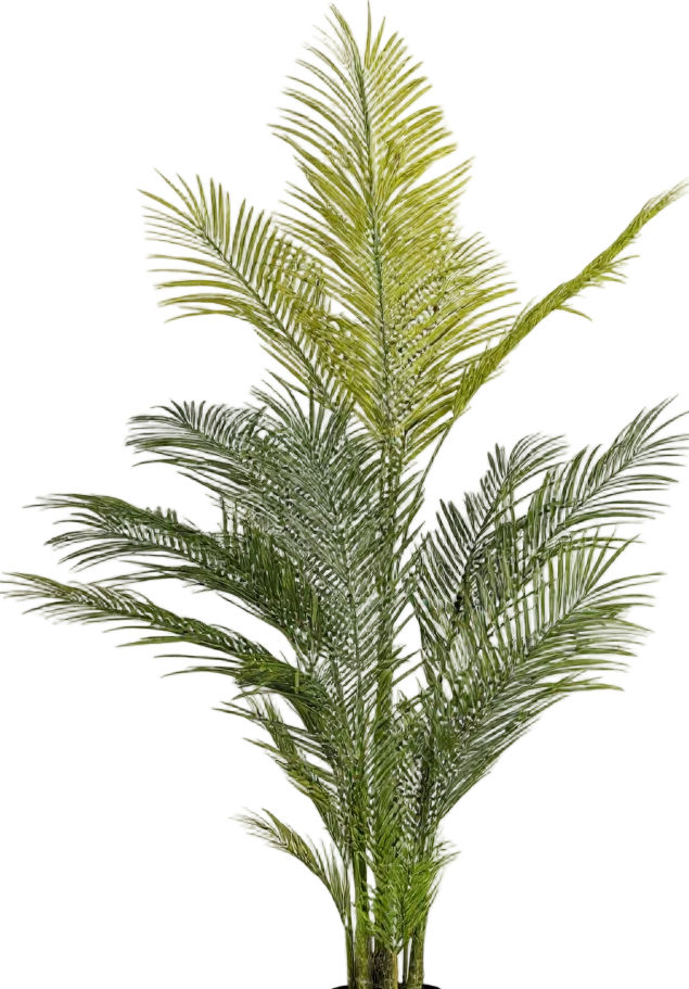Areca Palm (Life-like Artificial)