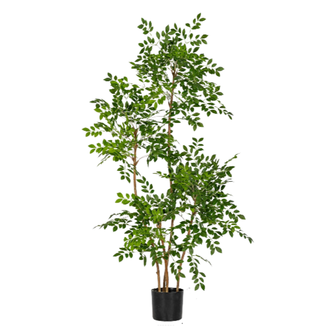 Chinese Money Tree (Faux)