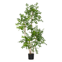 Chinese Money Tree (Faux)