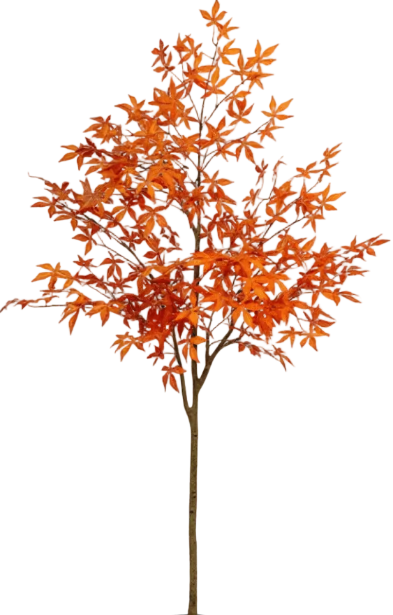 Maple Tree (Life-like Artificial)