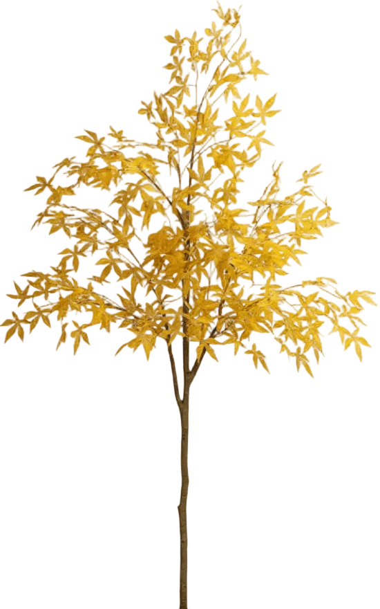 Maple Tree (Life-like Artificial)