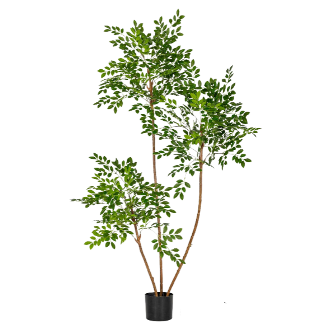 Chinese Money Tree (Faux)