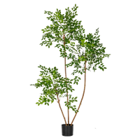 Chinese Money Tree (Faux)