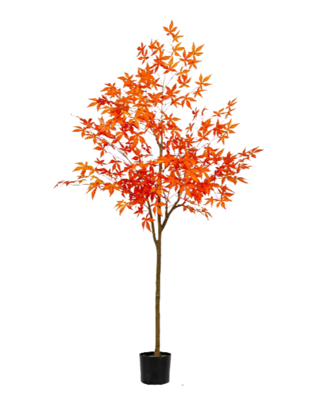 Maple Tree (Faux)