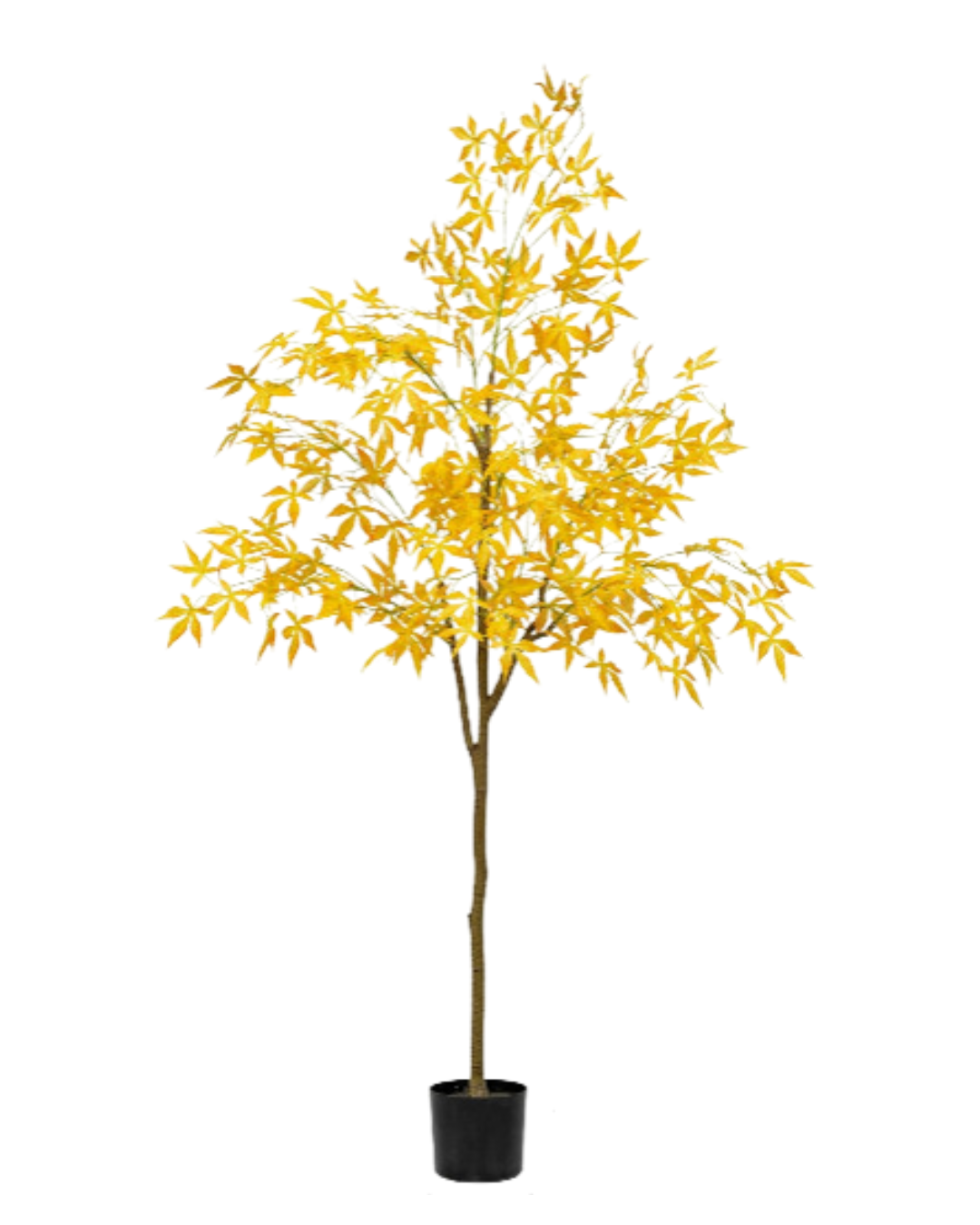 Maple Tree (Faux)