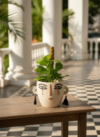 Epipremnum Money Plant (0.6m) - Potted plant -  Tumbleweed Plants