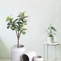 Canister Planter Large