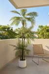 Areca Palm (Life-like Artificial) - Potted plant -  Tumbleweed Plants