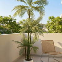 Areca Palm (Life-like Artificial)
