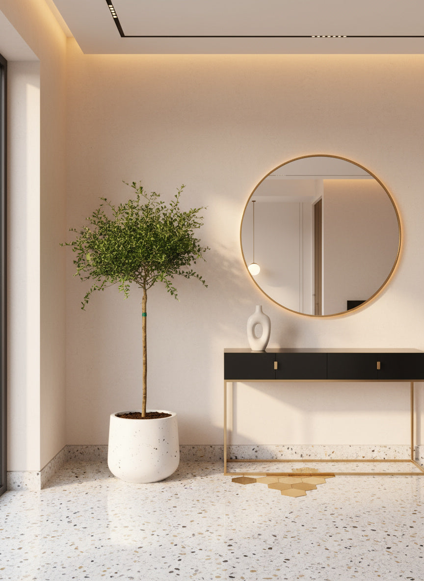 Finger Lime Tree (Australia)