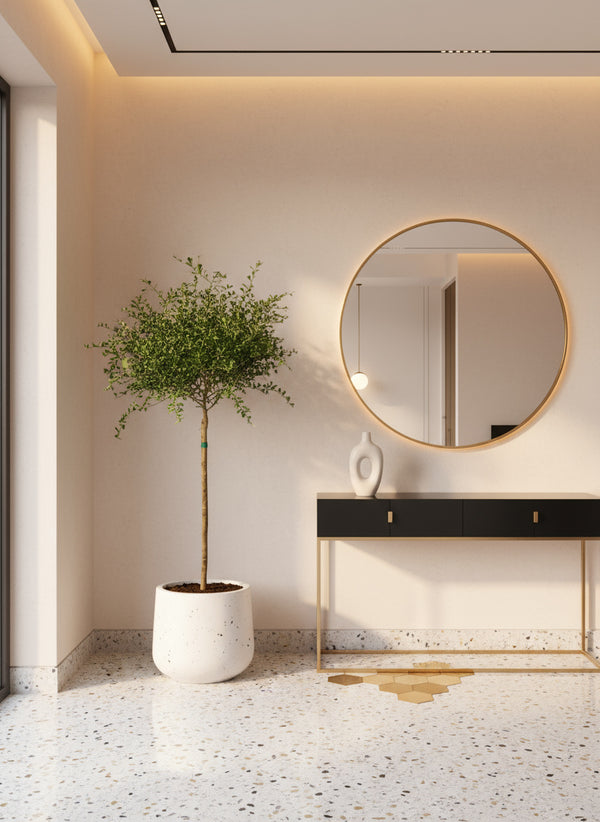 Finger Lime Tree (Australia)