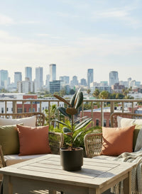 Ficus Elastica Burgundy