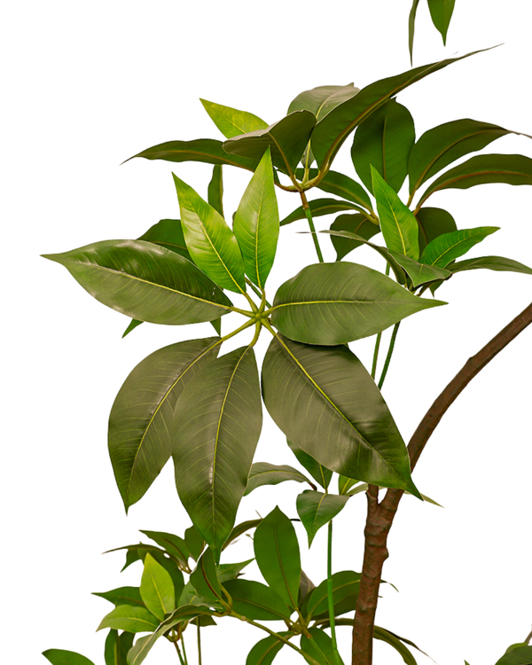 Umbrella Plant (Life-like Artificial) -  -  Tumbleweed Plants