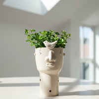 Peperomia Rotundifolia