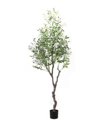 Olive Tree (Faux)