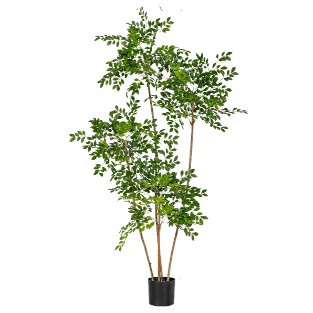 Chinese Money Tree (Faux)