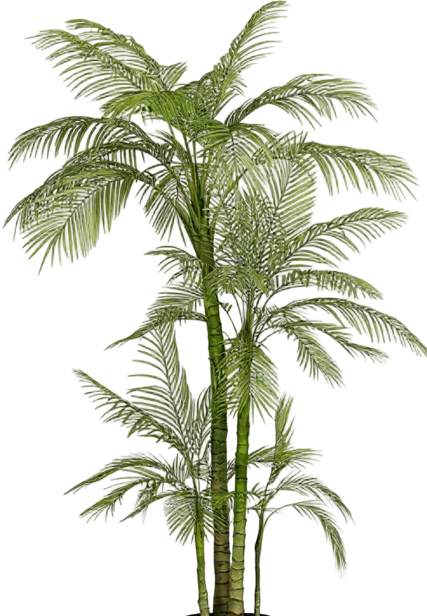 Areca Palm (Life-like Artificial)