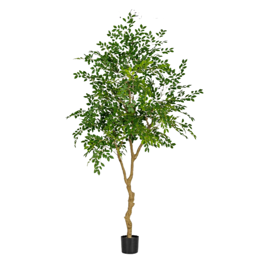 Chinese Money Tree (Faux)