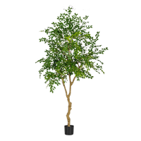 Chinese Money Tree (Faux)