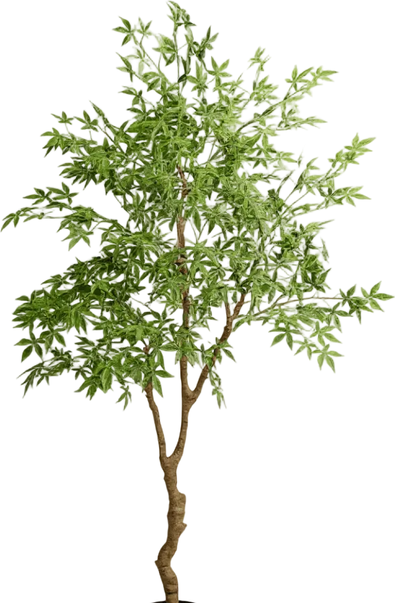Maple Tree (Life-like Artificial)