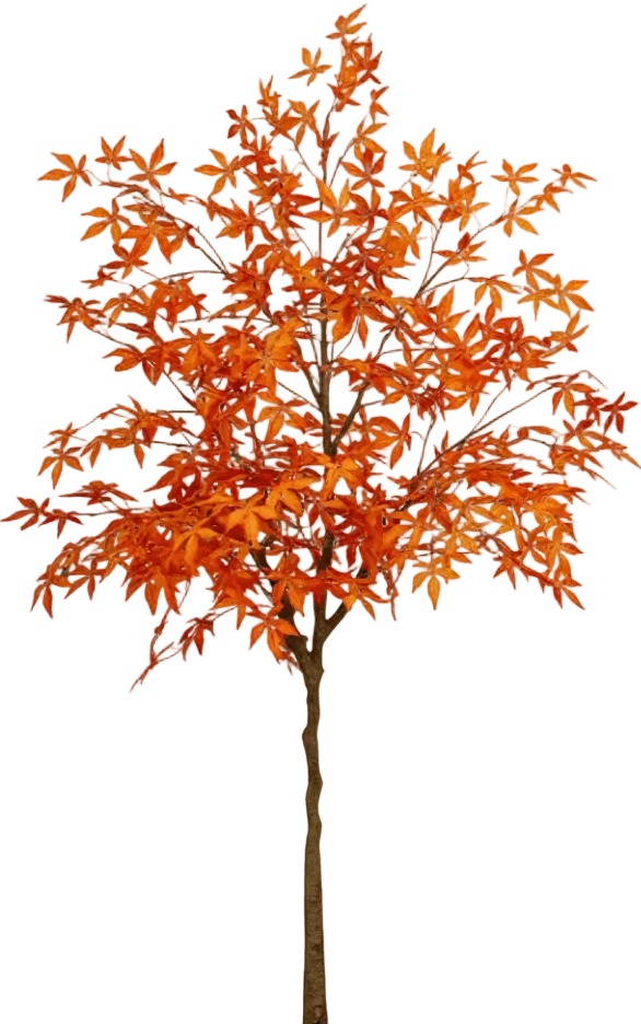 Maple Tree (Life-like Artificial)