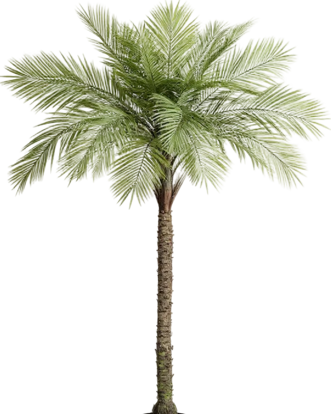 Areca Palm (Life-like Artificial)