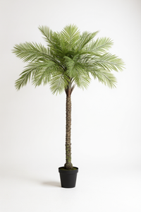 Areca Palm (Life-like Artificial) - Potted plant -  Tumbleweed Plants