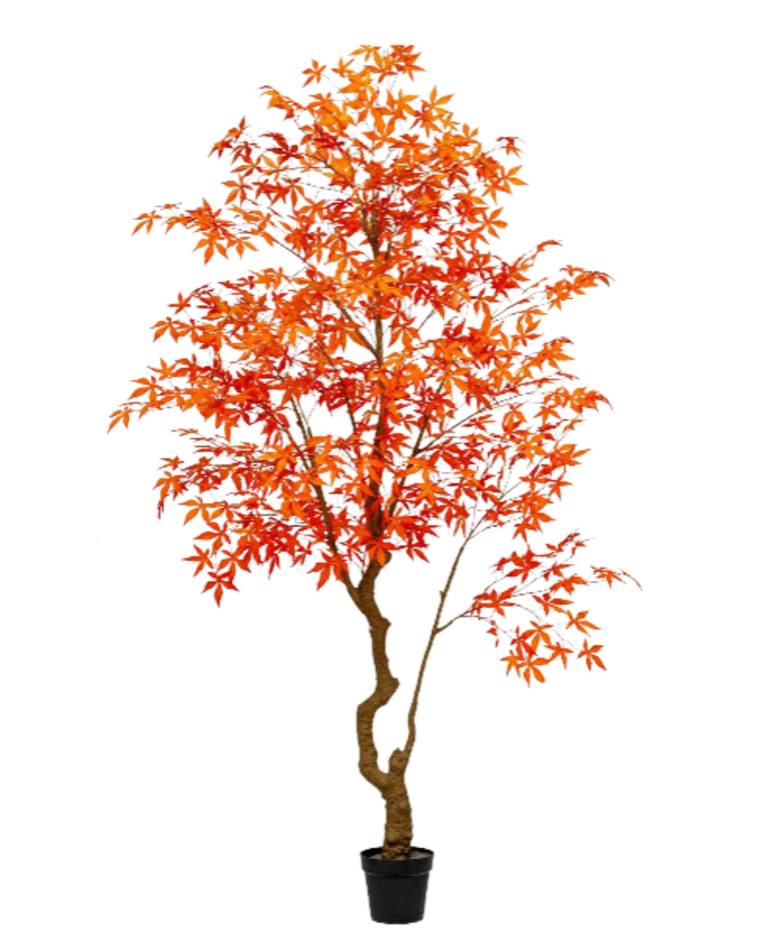 Maple Tree (Faux)