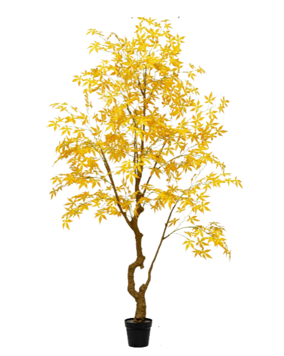 Maple Tree (Faux)