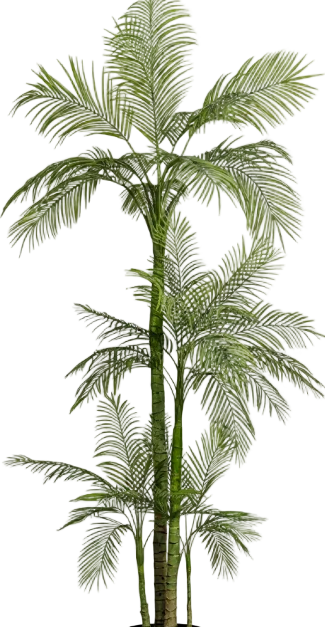 Areca Palm (Life-like Artificial)