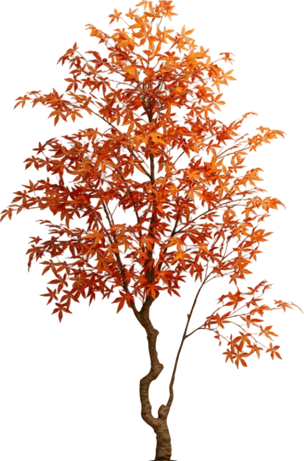 Maple Tree (Life-like Artificial)