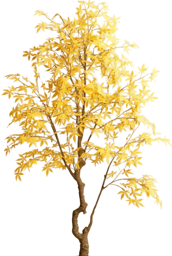 Maple Tree (Life-like Artificial)